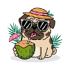 Pug