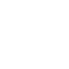 Violon
