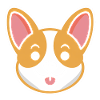 corgi