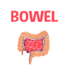 Gastroenterology