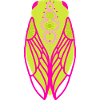 Fluorescent coloured cicada
