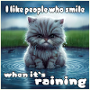 Cat in the rain