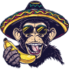 Bat Funny Sombrero