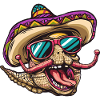 Donkey Funny Sombrero