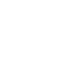 Woman in wheelchair accessibility
