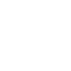 1960 1960 1960
