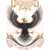 Unchained Flight - Eagle & Sacred Geometry