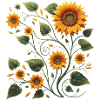 Sunflower Vine Sunflower Sunflower Bouquet