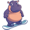 Hippos Hippopotamus Snowboarder Snowboard
