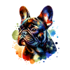 Frenchie