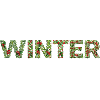 winter now ws