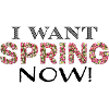 spring now sw