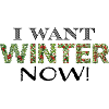 winter now sw