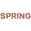 spring please ws