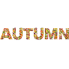 autumn now ws