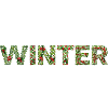 winter please ws
