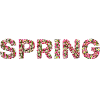 spring now ws