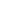 Gemini Gemini Evolution