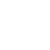 Chamäleon Design