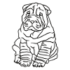 Cute Pug Dog