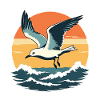 Seagull at sunset