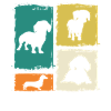 Chien teckel