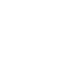 Chien teckel