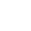 Chien teckel