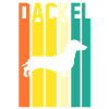 Chien teckel