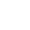 Chien teckel