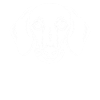 Chien teckel