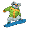 Koala Snowboarder Snowboard