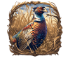 Pheasants Pheasant