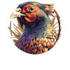 Pheasants Pheasant