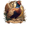 Pheasants Pheasant