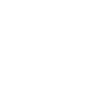 Lion tribal
