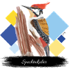 JvG Specht "Spechtakulär"