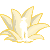 Boy Scout Survival Adventure