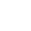 Proud bald eagle in flight