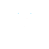 Roaring white tiger with blue eyes.