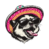 Skunk Funny Sombrero