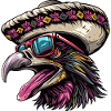 Harpy Bird Funny Sombrero