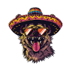 Hyena Funny Sombrero