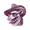 Armadillo Funny Sombrero