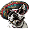 Buldog Français Chien Sombrero