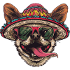 Chihuahua Dog Funny Sombrero