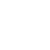 Kinkajou tribal