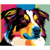 Australian Shepherd Dog Head