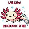 Axolotl - Master of Regeneration