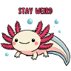 Weird Axolotl - Restez vous